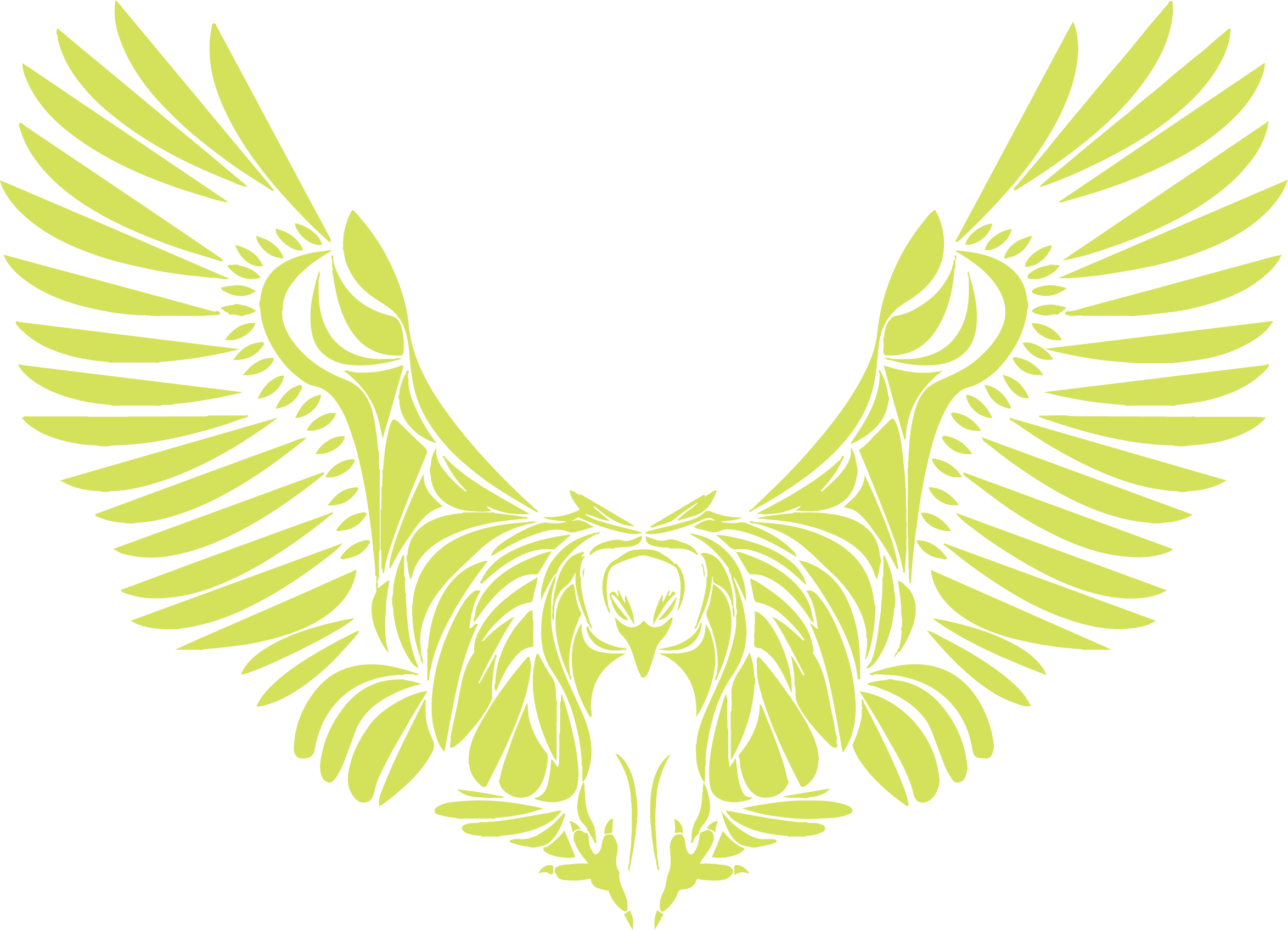 cadre-physical-therapy-and-performance